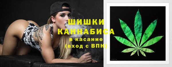 apvp Инта