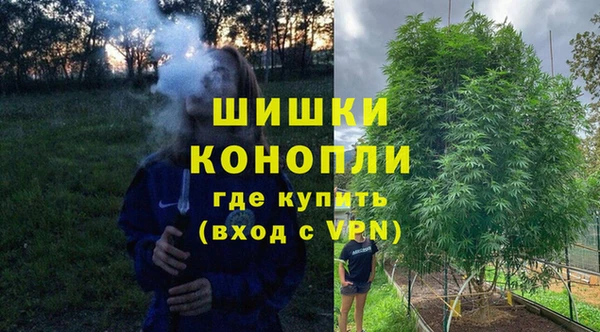 apvp Инта