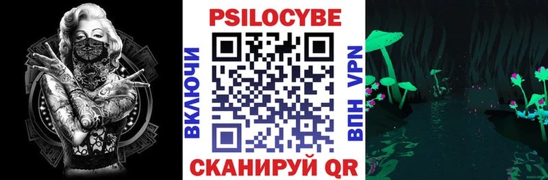 Купить Жиздра Галлюциногенные грибы GOLDEN TEACHER